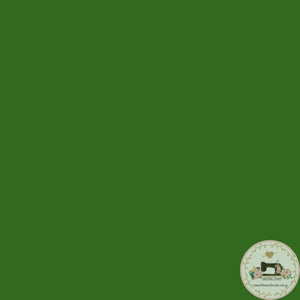 SOLID - 145 Mughal Green - Fabric Fabric
